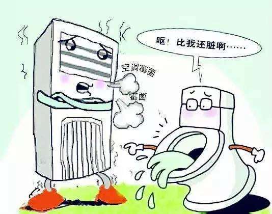 細菌,注意事項,保養
