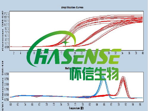 轉(zhuǎn)錄,合成,注意事項(xiàng),植物