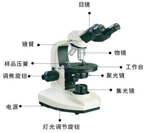 簡述顯微鏡的使用注意事項