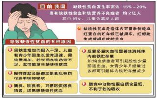 缺鐵性貧血補(bǔ)鐵的注意事項(xiàng),簡(jiǎn)述缺鐵性貧血患兒補(bǔ)鐵的注意事項(xiàng),缺鐵性貧血病人補(bǔ)鐵的注意事項(xiàng)包括