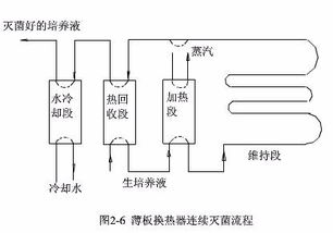 培養(yǎng)基,滅菌,要注意,事項