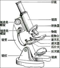 顯微鏡注意事項細調(diào)