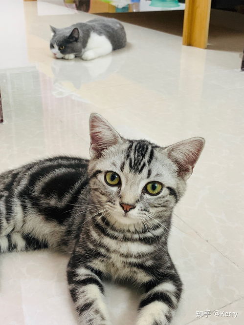 飼養,注意事項