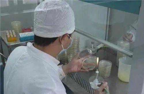 培養(yǎng)基的制備注意事項(xiàng),培養(yǎng)基制作過(guò)程中的注意事項(xiàng),培養(yǎng)基的配制與滅菌注意事項(xiàng)