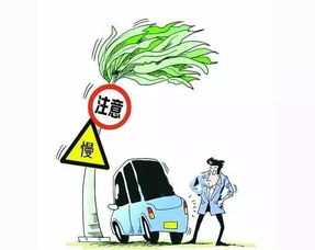 大風(fēng)天氣行車(chē)注意事項(xiàng),大風(fēng)天氣行車(chē)安全注意事項(xiàng),大風(fēng)天氣安全注意事項(xiàng)