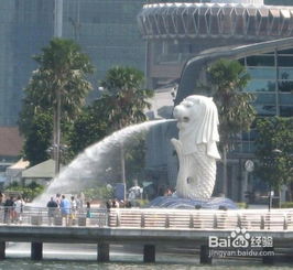 注意事項(xiàng),新馬,旅游