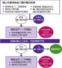 幽門螺桿菌怎么治療和注意事項(xiàng)
