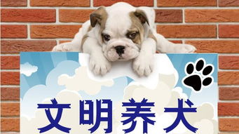 養(yǎng)狗,注意事項,農(nóng)村