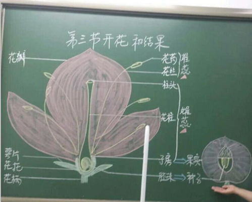 簡述教師應(yīng)用板書的注意事項