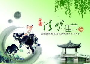 清明節(jié),注意事項(xiàng),活動(dòng)