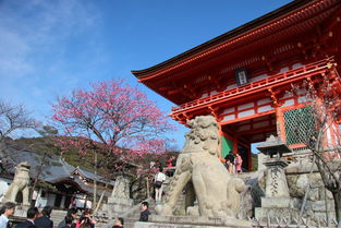 2月份去日本旅游要注意事項