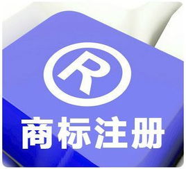 商標(biāo)查詢注意事項(xiàng)