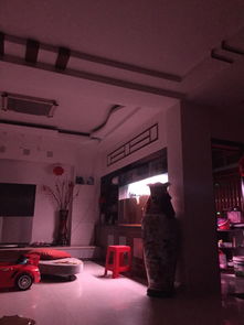 魚缸,注意事項