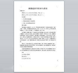 注意事項,簡(jiǎn)答題,寫(xiě)作,起訴狀
