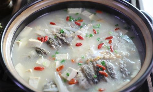 鯽魚豆腐湯注意事項