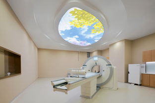 需注意,事項(xiàng),petct