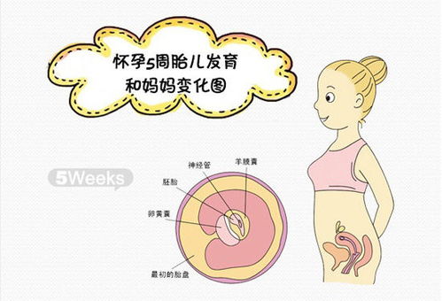懷孕第9周應注意事項