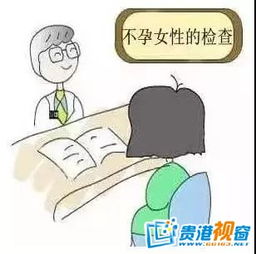 驗(yàn)不孕不育需注意事項(xiàng)