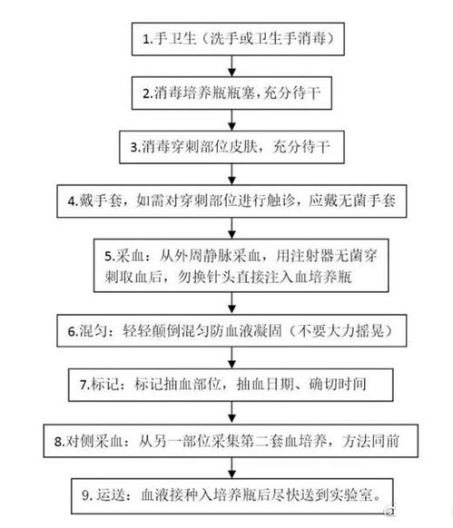 血液標(biāo)本采集程序及注意事項(xiàng)研究