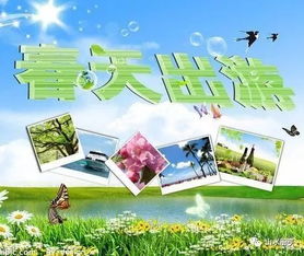 出游安全注意事項(xiàng)說(shuō)明,幼兒出游安全注意事項(xiàng),班級(jí)活動(dòng)安全注意事項(xiàng)