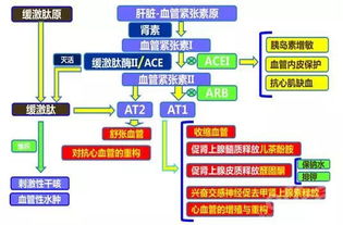 代森聯(lián)的使用注意事項(xiàng)