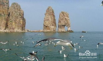 長島,釣魚,注意事項