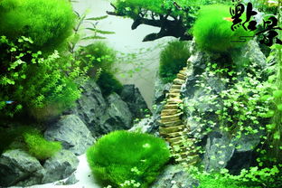 草缸開(kāi)缸注意事項(xiàng),草缸養(yǎng)魚(yú)注意事項(xiàng),草缸養(yǎng)蝦注意事項(xiàng)