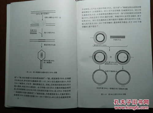 原位雜交注意事項(xiàng)