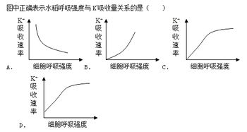 果蔬呼吸強度測定靜置法注意事項,果蔬呼吸強度測定實驗注意事項,果蔬呼吸強度測定實驗報告注意事項