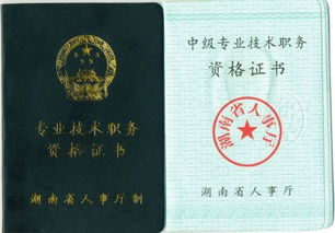 南京,申報(bào),注意事項(xiàng),中級(jí)職稱