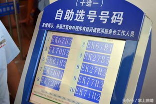 選號(hào),車牌,注意事項(xiàng)