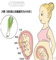 需注意,懷孕,事項