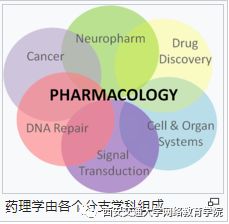 藥理學(xué),注意事項(xiàng),kcl