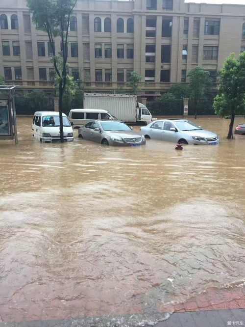 暴雨,臺風,注意事項,行車