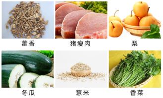 濕熱體質(zhì)的注意事項,濕熱體質(zhì)的人注意事項,關(guān)于濕熱體質(zhì)之人運(yùn)動的注意事項正確的是