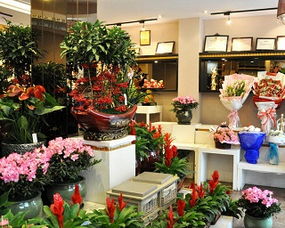 選址,花店,注意事項,經(jīng)營