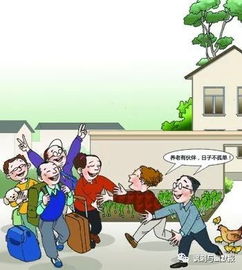 抱團(tuán),應(yīng)注意,養(yǎng)老,事項(xiàng)
