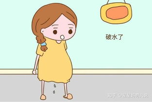 注意事項,懷孕