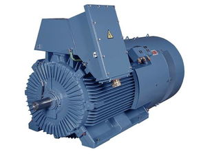 高壓電機(jī)加油注意事項,高壓電機(jī)拆線注意事項,高壓電機(jī)試車注意事項