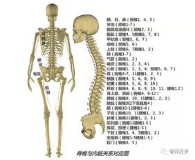 筋療注意事項