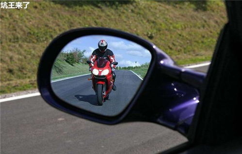 野外,注意事項,開車