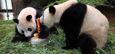 杭州,動(dòng)物園,注意事項(xiàng)