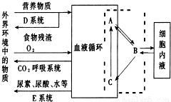 斜面培養(yǎng)基接種注意事項(xiàng)