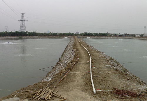 魚塘增氧注意事項