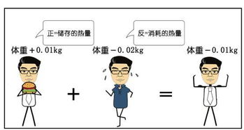816減肥法的注意事項,八小時(shí)減肥法注意事項,哈佛減肥法注意事項