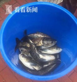 水庫,注意事項(xiàng)