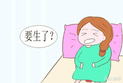 注意事項(xiàng),懷孕,階段
