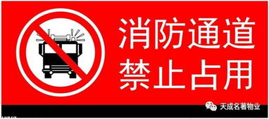 夏季,注意事項(xiàng),物業(yè),工作