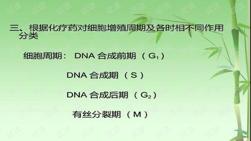 化療藥物的注意事項(xiàng)ppt