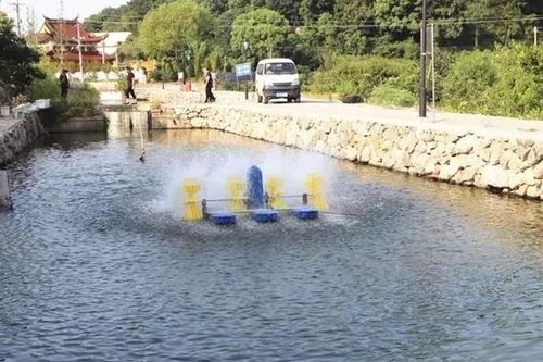 魚塘安全注意事項,魚塘殺蟲注意事項,新魚塘養(yǎng)魚注意事項